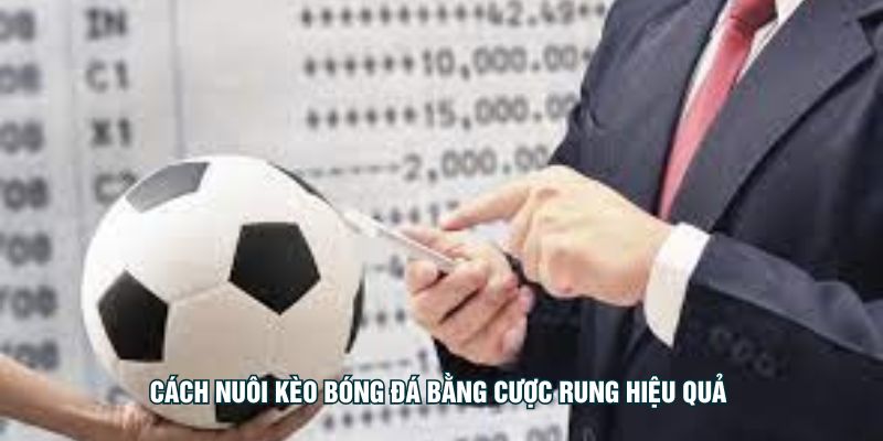 Cách nuôi kèo bóng đá bằng cược rung hiệu quả 