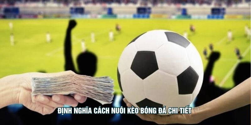 Định nghĩa cách nuôi kèo bóng đá chi tiết 